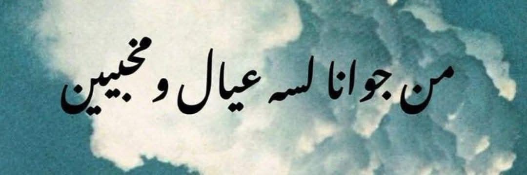 dina youssef tweet media