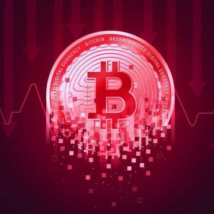 Crypto Rover tweet media