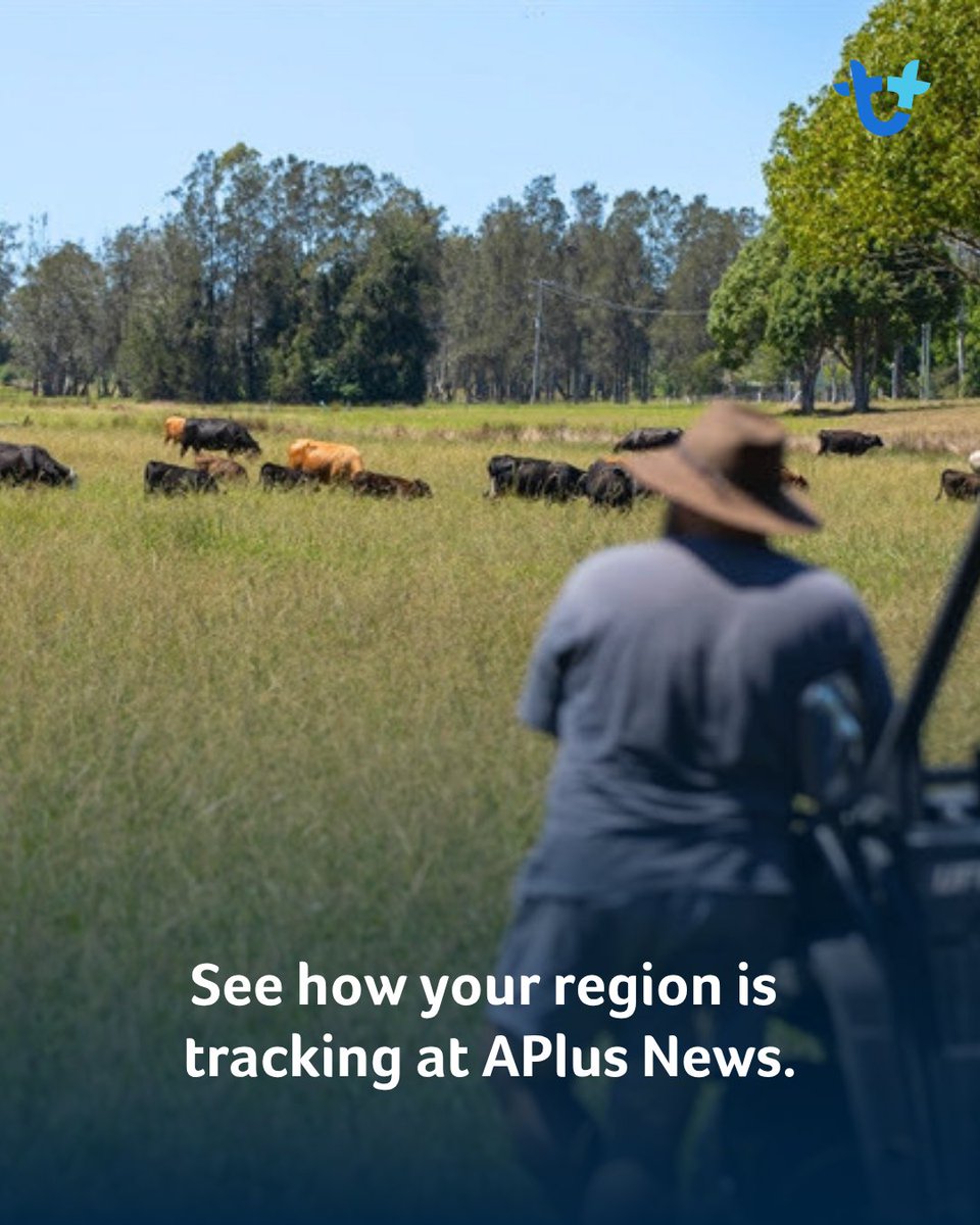 AuctionsPlus tweet media