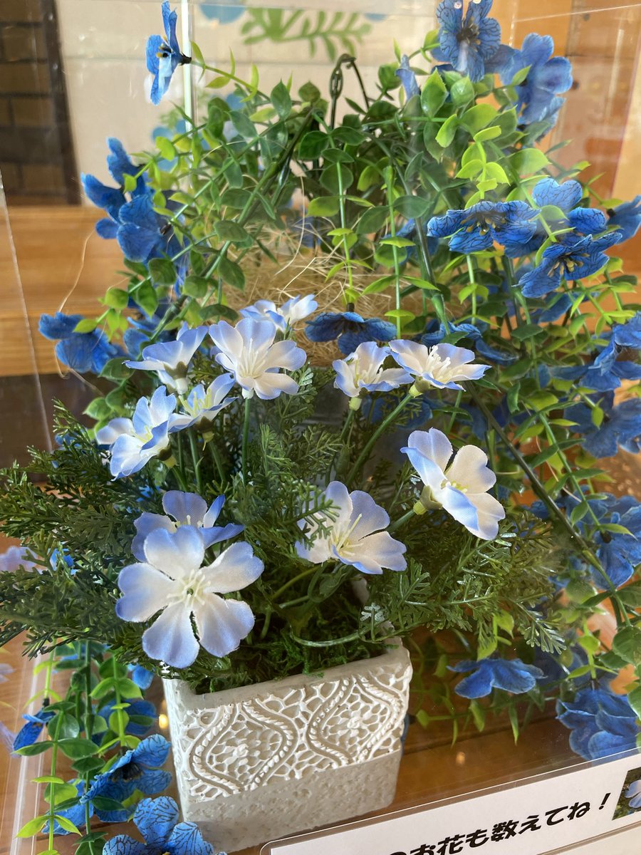 牧歌の里からの挑戦状📃】 メインハウスロビーにて、青い花の『花びら