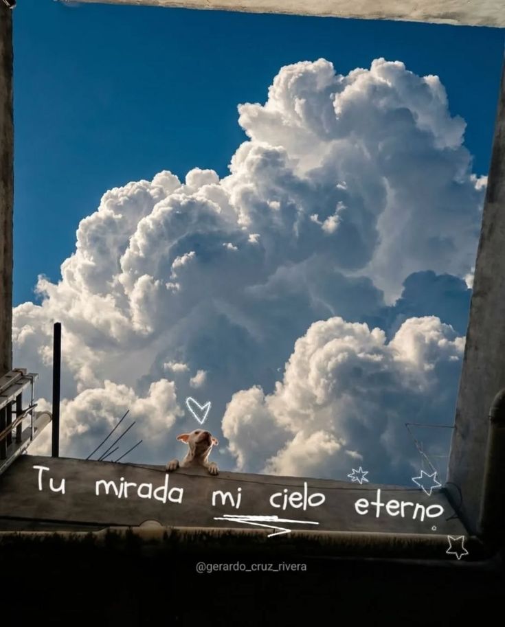 Nayla Cervantes tweet media