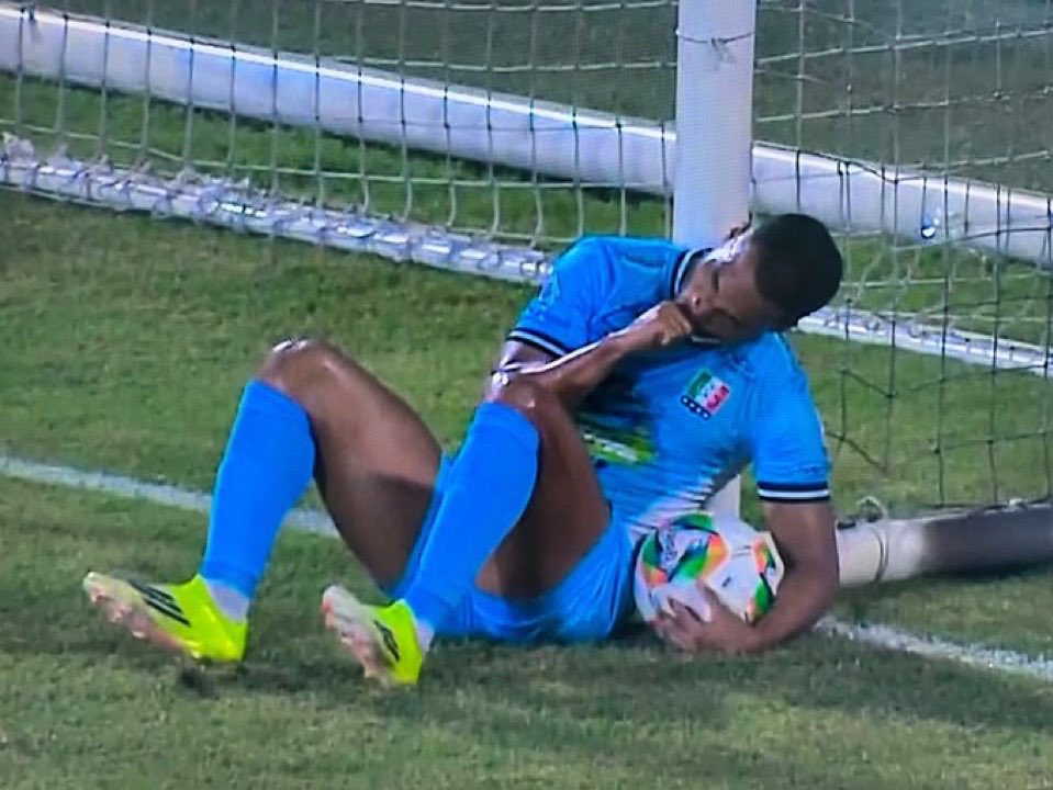 O Burrinho tweet media