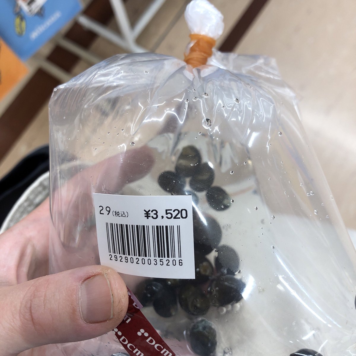 duder117o's tweet photo. ホムセン石巻貝割高なの知ってるけど高すぎてびっくりやぞ
かなり前でうろ覚えやけど石巻貝の仕入れ値知ってるけど今こんなに高いんか？ https://t.co/WdDEpclLGx