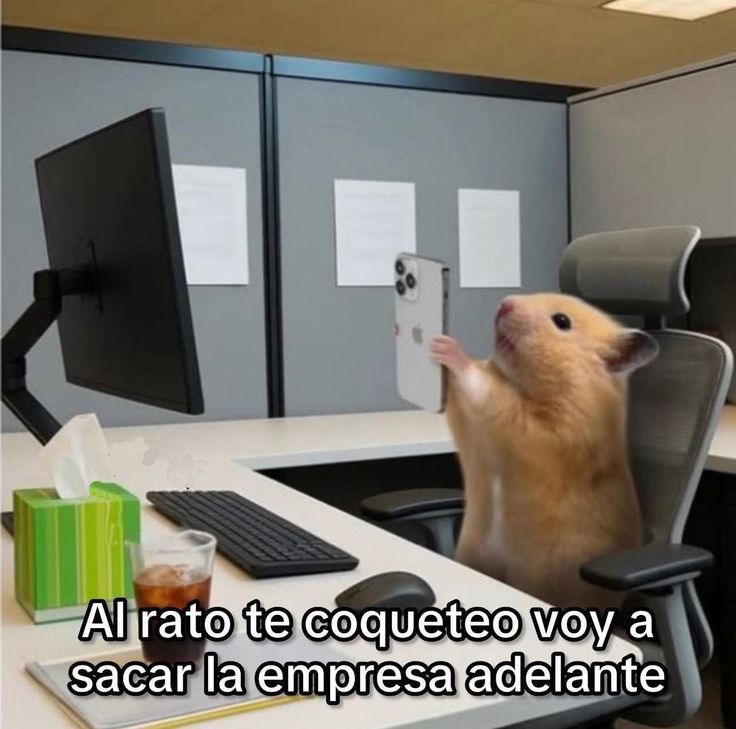 Paco Durán tweet media