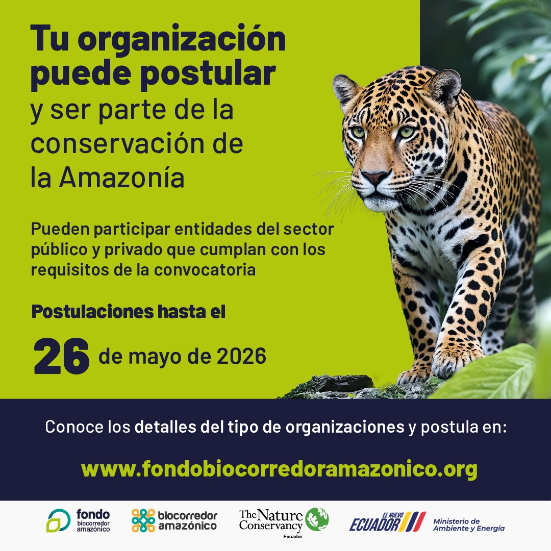 confeniae1's tweet photo. 🌿 La convocatoria del Fondo Biocorredor Amazónico está dirigida a organizaciones del sector publico y privado que trabajan por la Amazonía.

📝 𝗥𝗲𝘃𝗶𝘀𝗮 𝗿𝗲𝗾𝘂𝗶𝘀𝗶𝘁𝗼𝘀 𝘆 𝗽𝗼𝘀𝘁𝘂𝗹𝗮👇🏻 https://t.co/FfrIBuruB0 https://t.co/cgegEjo7bz