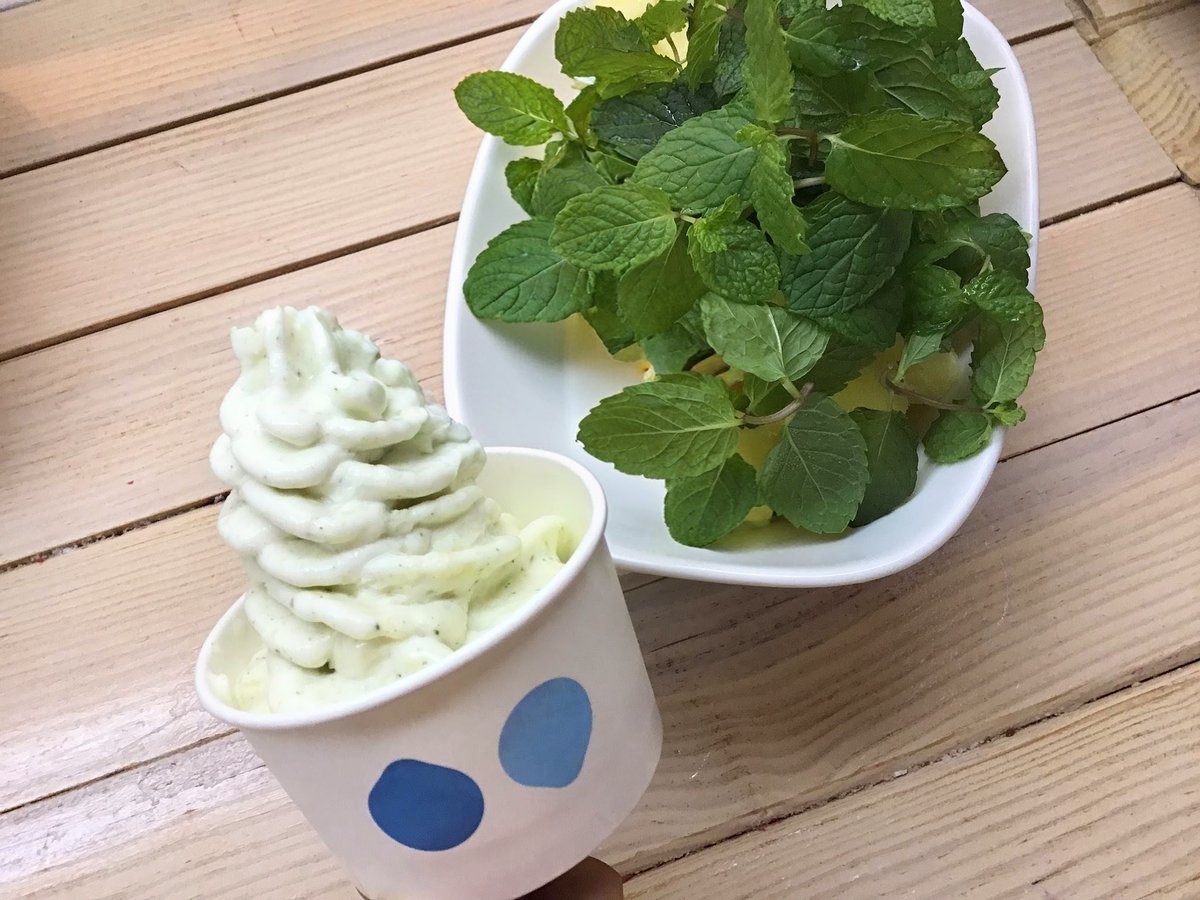 🎵本日のメニュー グレープフルーツ(ルビー)←NEW!!! ミント🌱 せとか