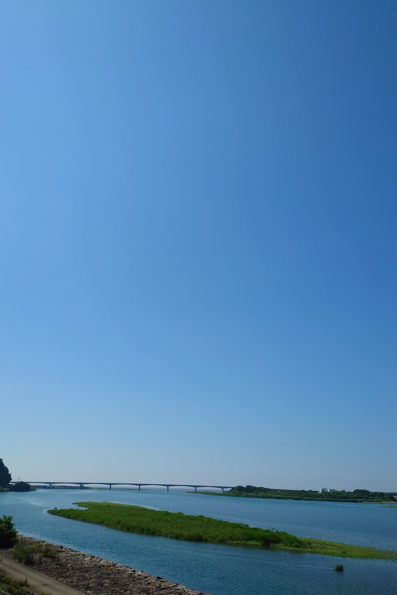 ヒマ人 tweet media