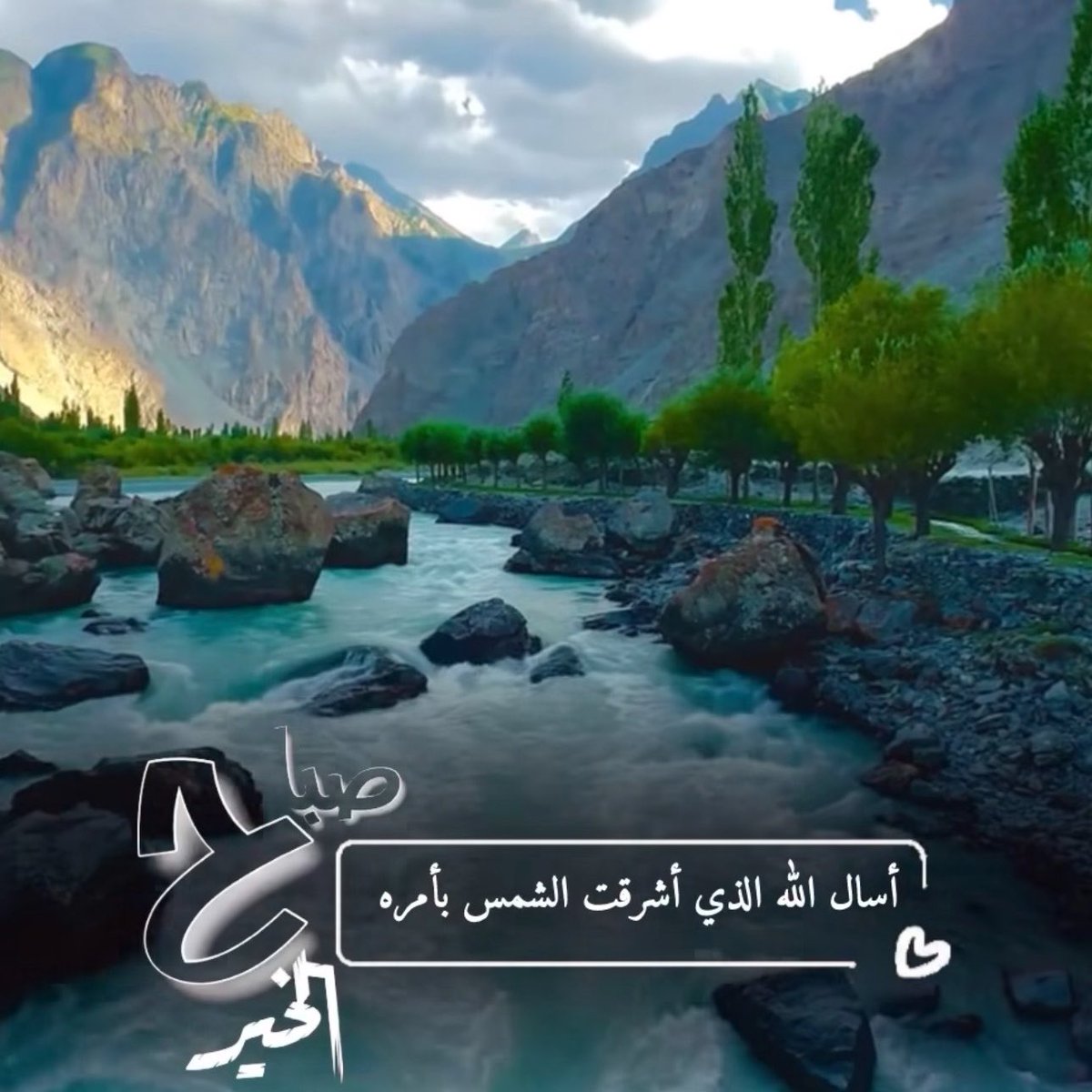 سلمى tweet media