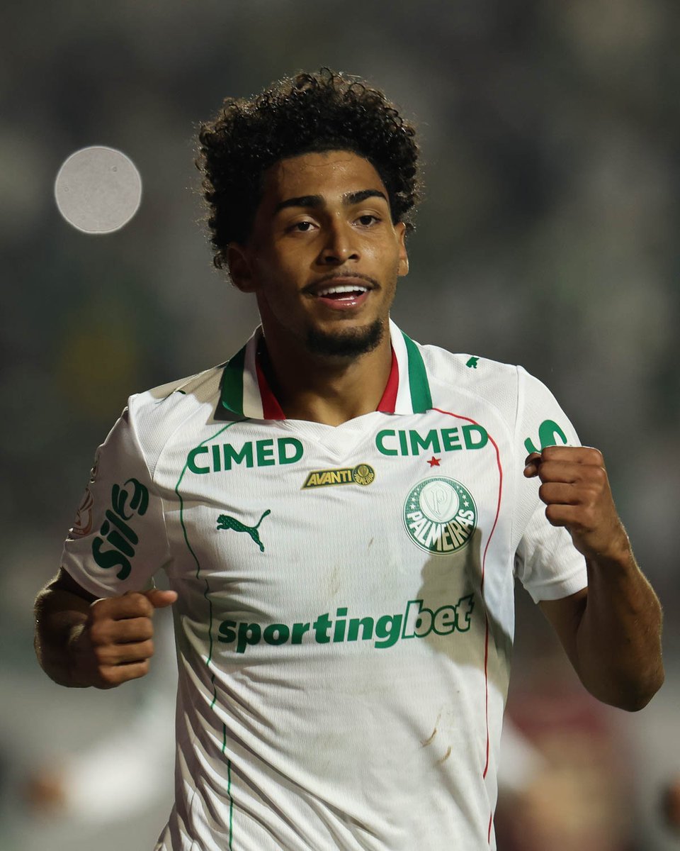 SE Palmeiras tweet media