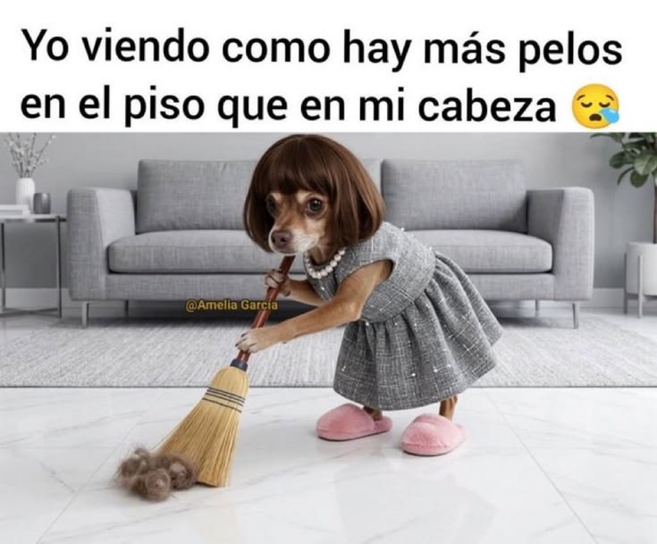 Mariana Cuesta tweet media
