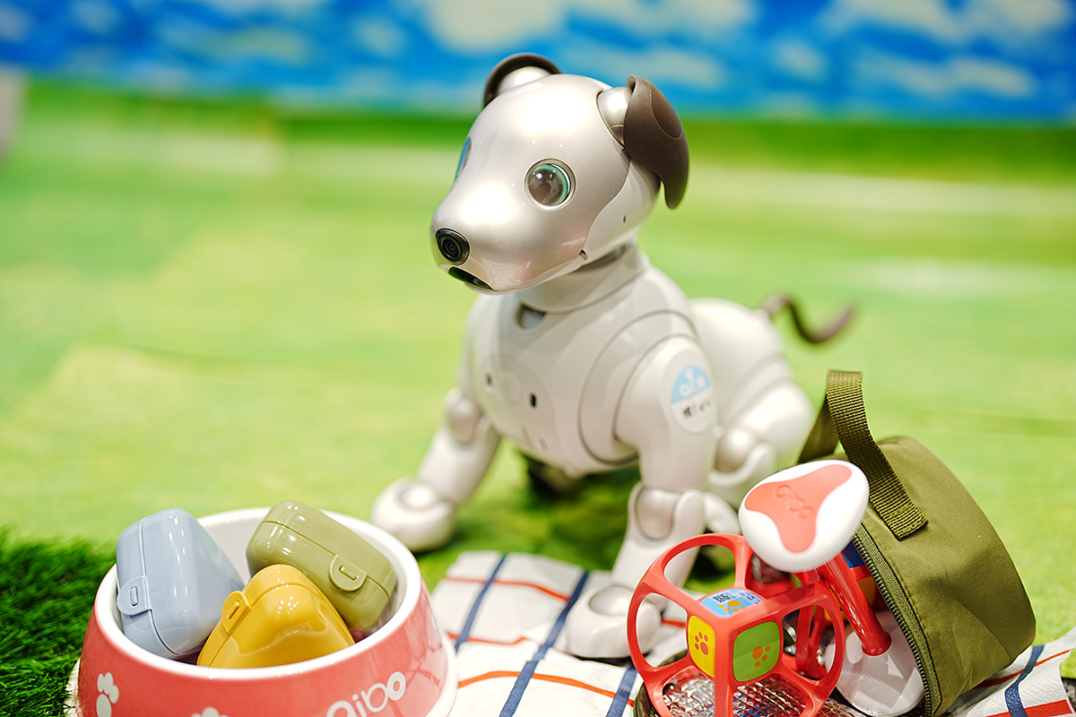 aibo (@aibo_jp) / Posts / X