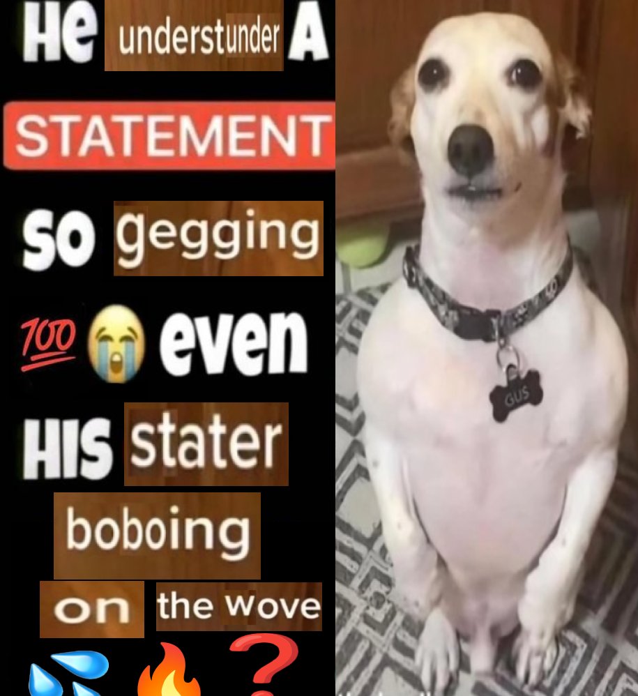 Sophie tweet media