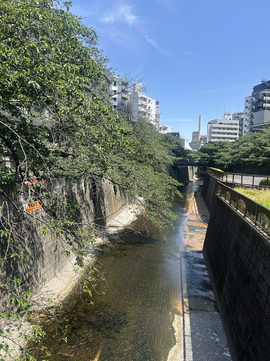 こじこじ侍🦊⛩️ tweet media
