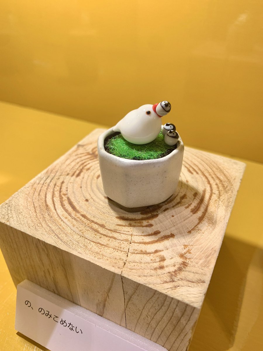 info_how's tweet photo. ガラス工房Frozen Ocean個展「鳥百景~手のひらの庭〜」🪽
初日オープンです‼︎🐧

朝から沢山のご来店ありがとうございます✨
細かくて繊細なガラス作品に、センスの塊な作品名が合わさって
思わずほほえんでしまう世界が広がっています🥹🫶

作家さんも在廊してます🍎
17時まで🈺
staff.U🐟 https://t.co/C6XYN9nQwN