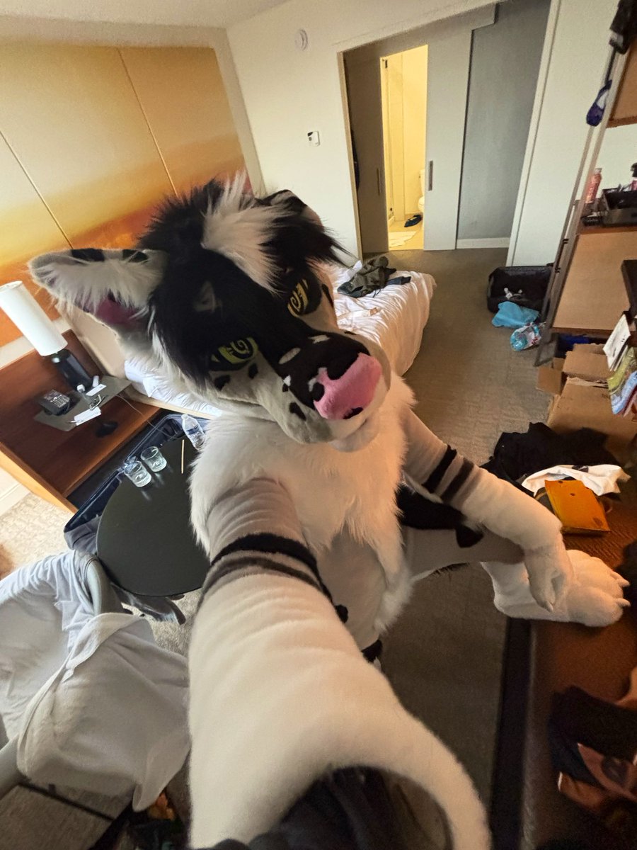 Cody tweet media