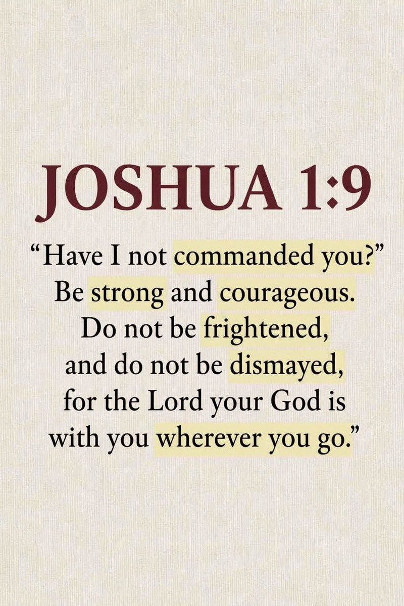 Holy Bible tweet media