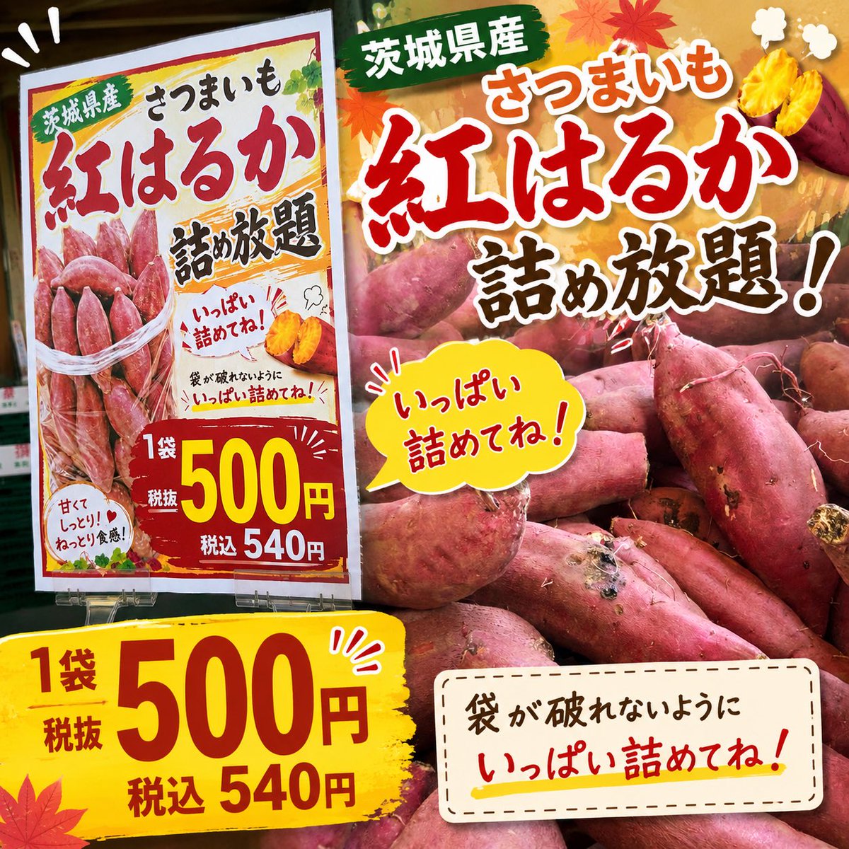 🍠大人気‼️ 茨城県産「紅はるか」詰め放題開催中✨ 甘くてしっとり