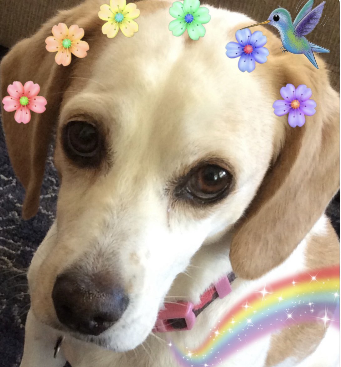 Katiebug tweet media