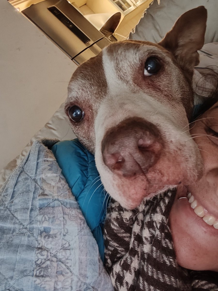 larousina's tweet photo. Mañana le sacan un tumorcito a mi viejo bombón, send fuercitas https://t.co/W1WcQAOvuD