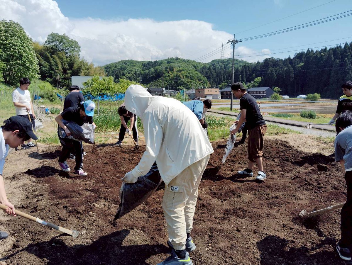 JAIST16's tweet photo. 研究室メンバー総出での畑作業🧑‍🌾。初夏のすがすがしい気候のもと、畝立てを行い、肥料を施しました😃。
#研究室
#リトルガーデン https://t.co/zN3mKnYwdm