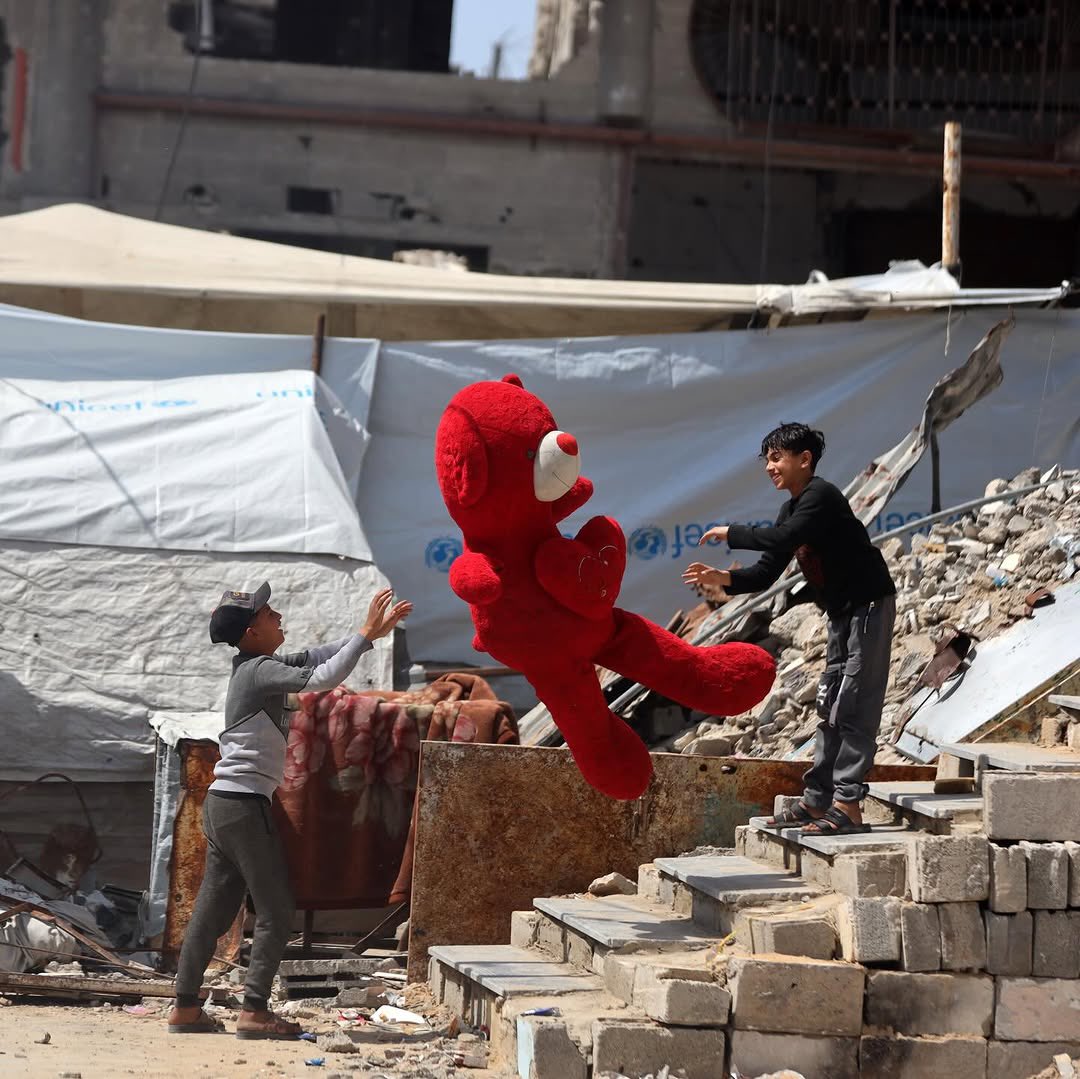 aseelswaid9's tweet photo. Gaza Palestine 2026 https://t.co/WARD2yjwc7