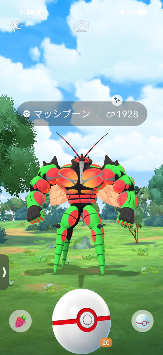 ソラ@ポケモンGO/ポケカ tweet media