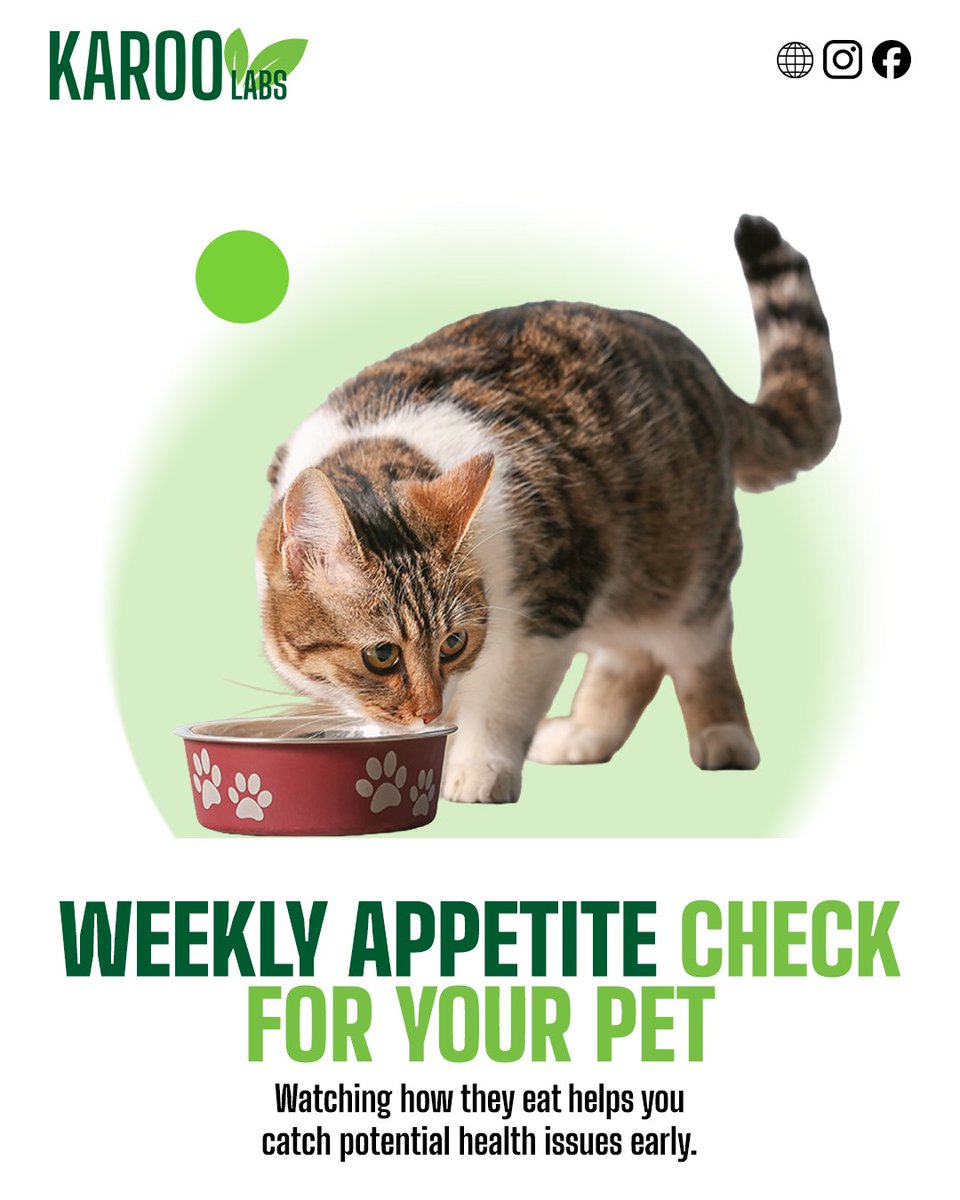 KarooLabs's tweet photo. It’s time for an appetite check! Is your pet excited for meals or skipping bites lately? 

Watching how they eat helps you catch potential health issues early. 

What’s one thing you’ll do for your pet’s appetite this week?

#AppetiteCheck #MonitorPetHealth #KarooLabs https://t.co/XYSiR1nzm5