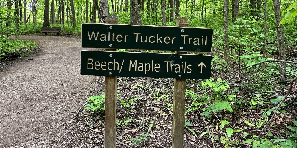 CbusMetroParks's tweet photo. 📍 Maple Trail, Blacklick Woods Metro Park

This easy .9 mile gravel trail is ADA accessible and great for birding! The trail traverses a hardwood forest and passes a small wetland.

#cbusmetroparks https://t.co/BcaFJEgxWK
