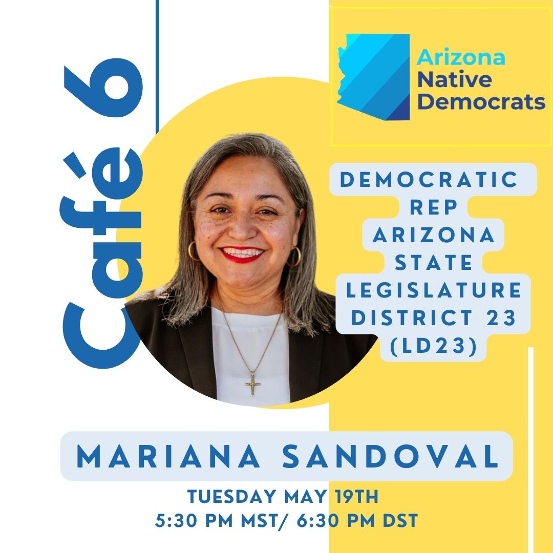 Northeast Arizona Native Democrats tweet media