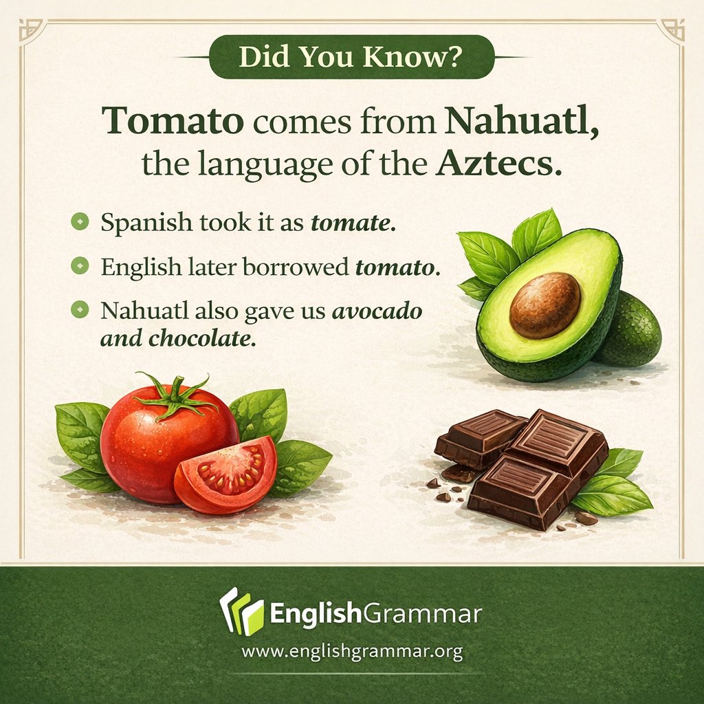 English Grammar tweet media