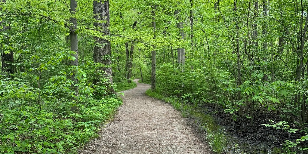 CbusMetroParks's tweet photo. 📍 Maple Trail, Blacklick Woods Metro Park

This easy .9 mile gravel trail is ADA accessible and great for birding! The trail traverses a hardwood forest and passes a small wetland.

#cbusmetroparks https://t.co/BcaFJEgxWK