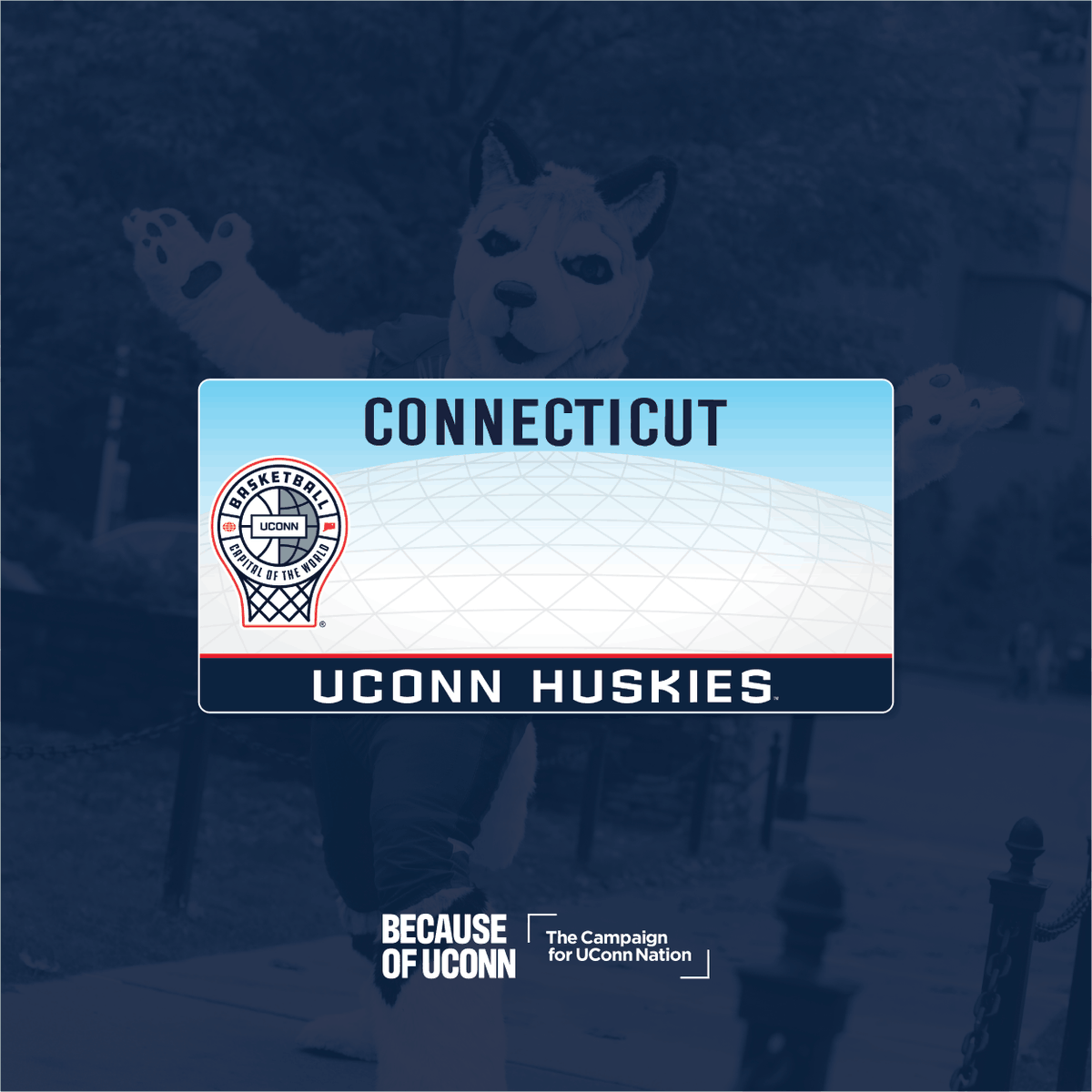 UConn Alumni tweet media