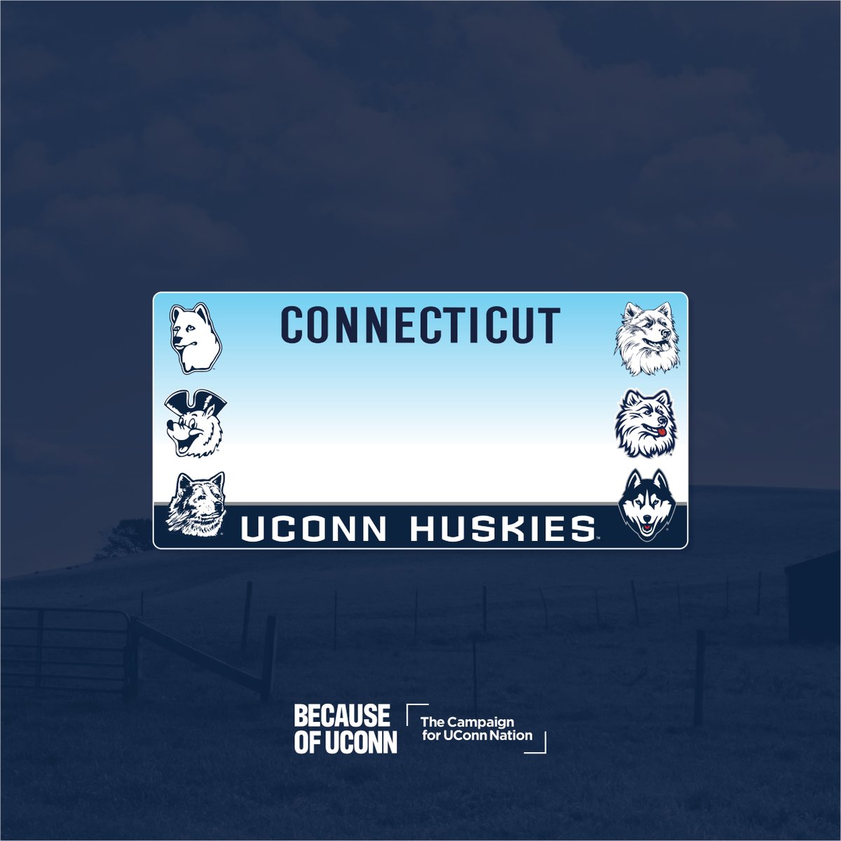 UConn Alumni tweet media