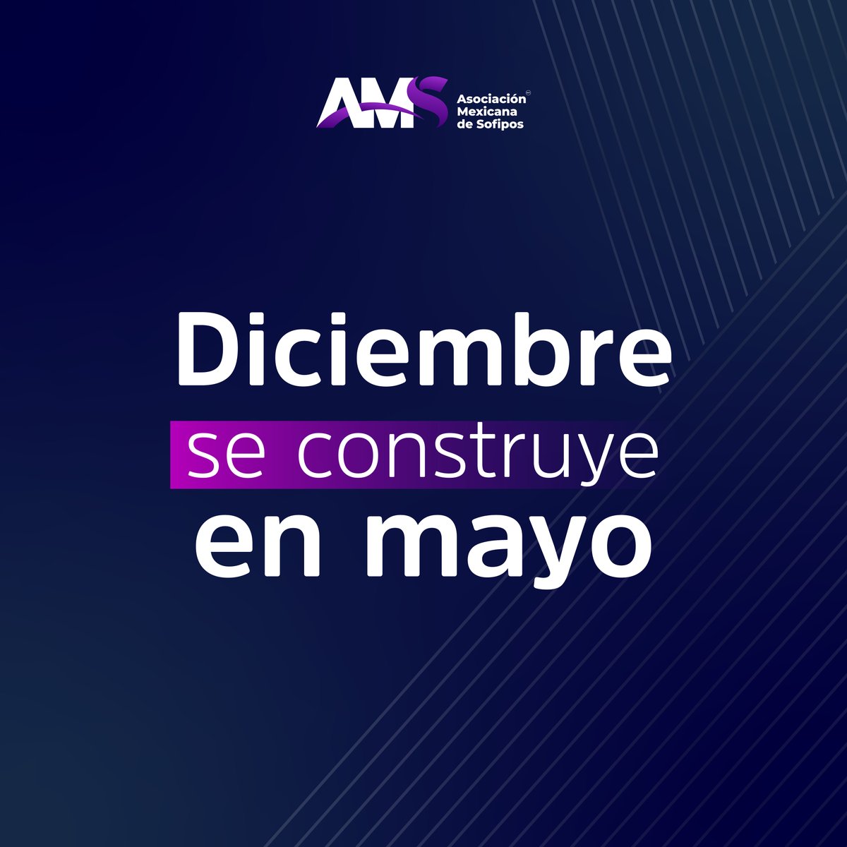 Amsofipo tweet media