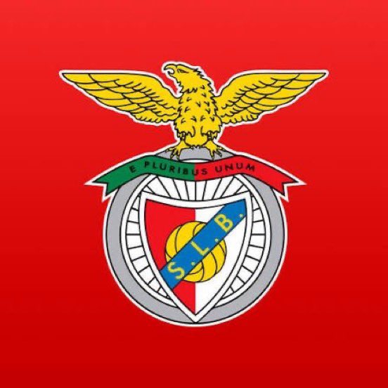 334 FENER tweet media