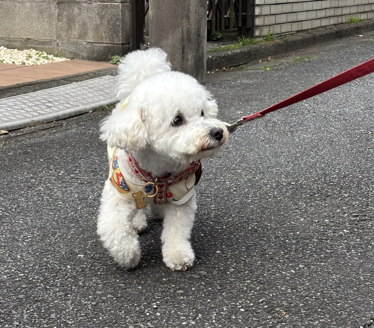 じゅん tweet media