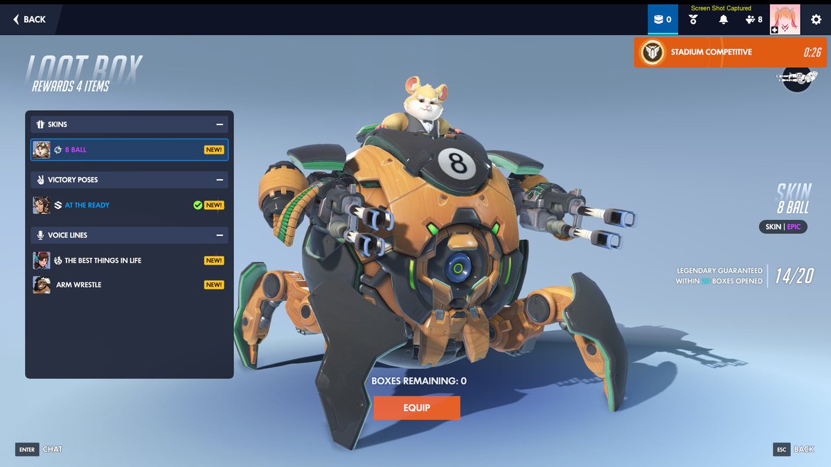 vanilla 🐈 tweet media