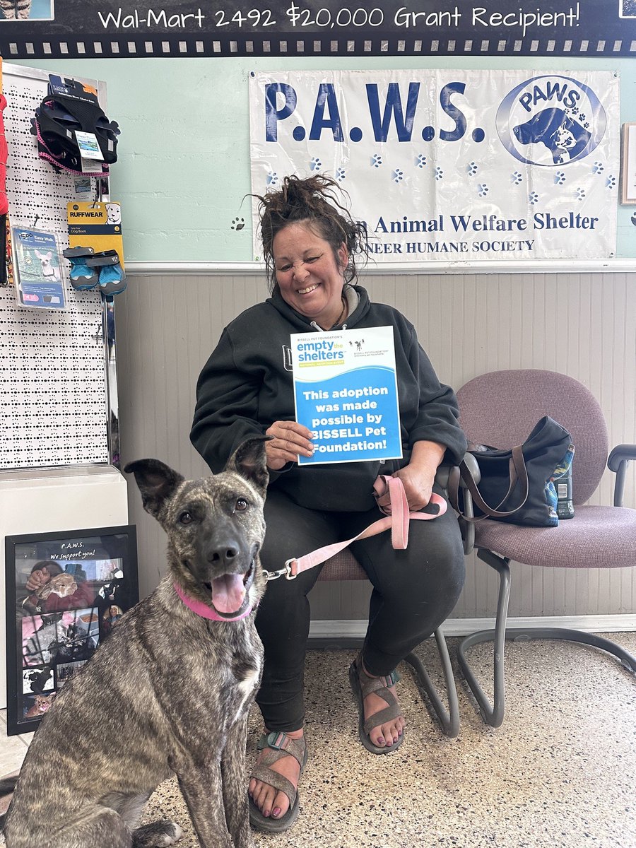 PAWSPendletonOR's tweet photo. Let's celebrate some adoptions! Happy Adoption Day to Suede and to Pumpkin! Thank you to @BISSELLPets for #EmptyTheShelters ! Empty the Shelters ends May 17th, and our staff needs time to process adoption applications, so if you've been thinking of adopting, don't delay! 
#dogs https://t.co/nmAOD7MTWY