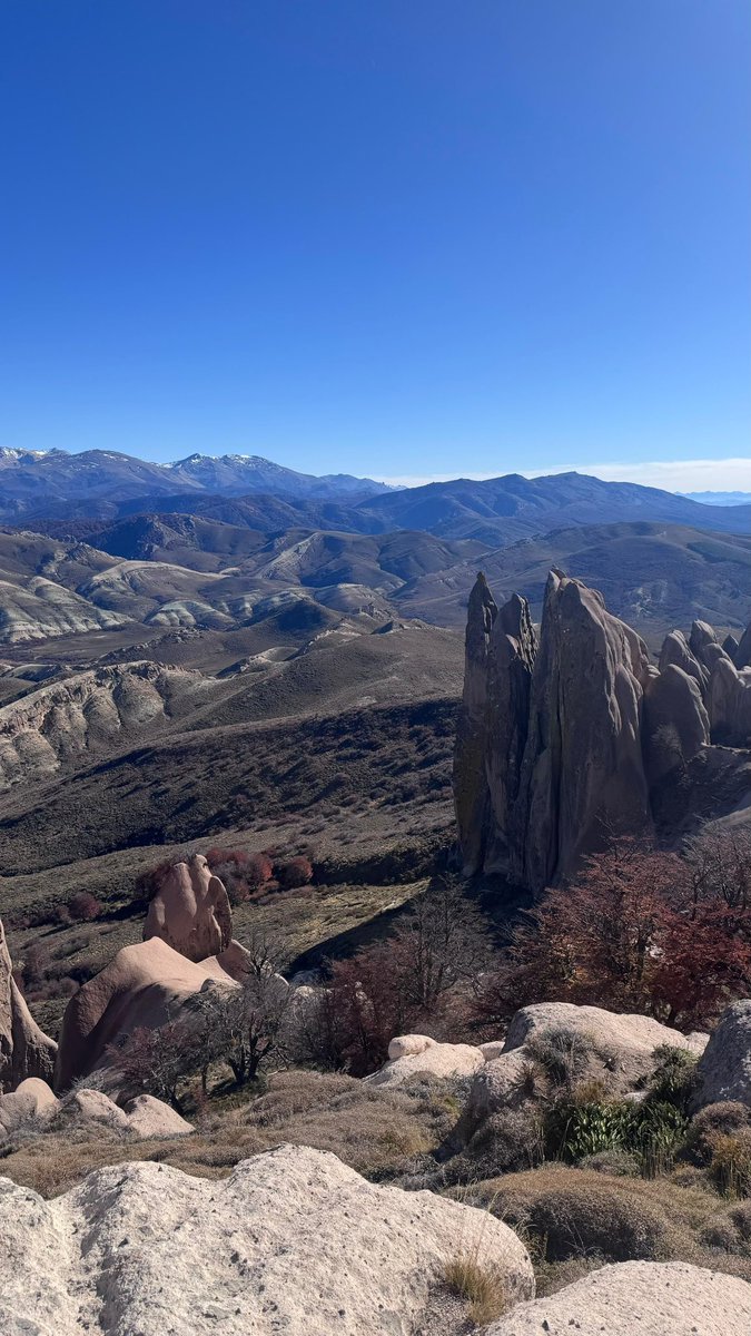 GracielaCamano's tweet photo. #LaBuitrera, hacia la zona de #Ñirihuau arriba, en transición e/ bosque andino y estepa #Bariloche
Te sorprende una geografía muy distinta: cañadones, coirones, paredones rocosos y formaciones moldeadas por siglos de viento. Ahí los cóndores y las águilas moras surcan los cielos otoñales.
Una transición geológica fascinante e/ la Cordillera Andina húmeda y la vieja Patagonia esteparia. Y ahí aparece algo clave: muchas de las montañas y paredones no son “jóvenes”, son el resultado de varias historias geológicas superpuestas.
Es una formación asociada al llamado
Complejo volcánico andino-patagónico
y particularmente a unidades vinculadas al
#GrupoNahuelHuapi #FormaciónVentana #FormaciónÑirihuau
Que contienen tobas volcánicas, cenizas consolidadas, areniscas, conglomerados y derrames volcánicos.
Cuando miras ese paisaje ves formaciones del Mioceno aprox e/23 y 5 millones de años.
Cuando estás parado ahí arriba, en realidad está viendo el choque entre dos Patagonias, geologicamente, una frontera; visualmente un paraíso secreto…