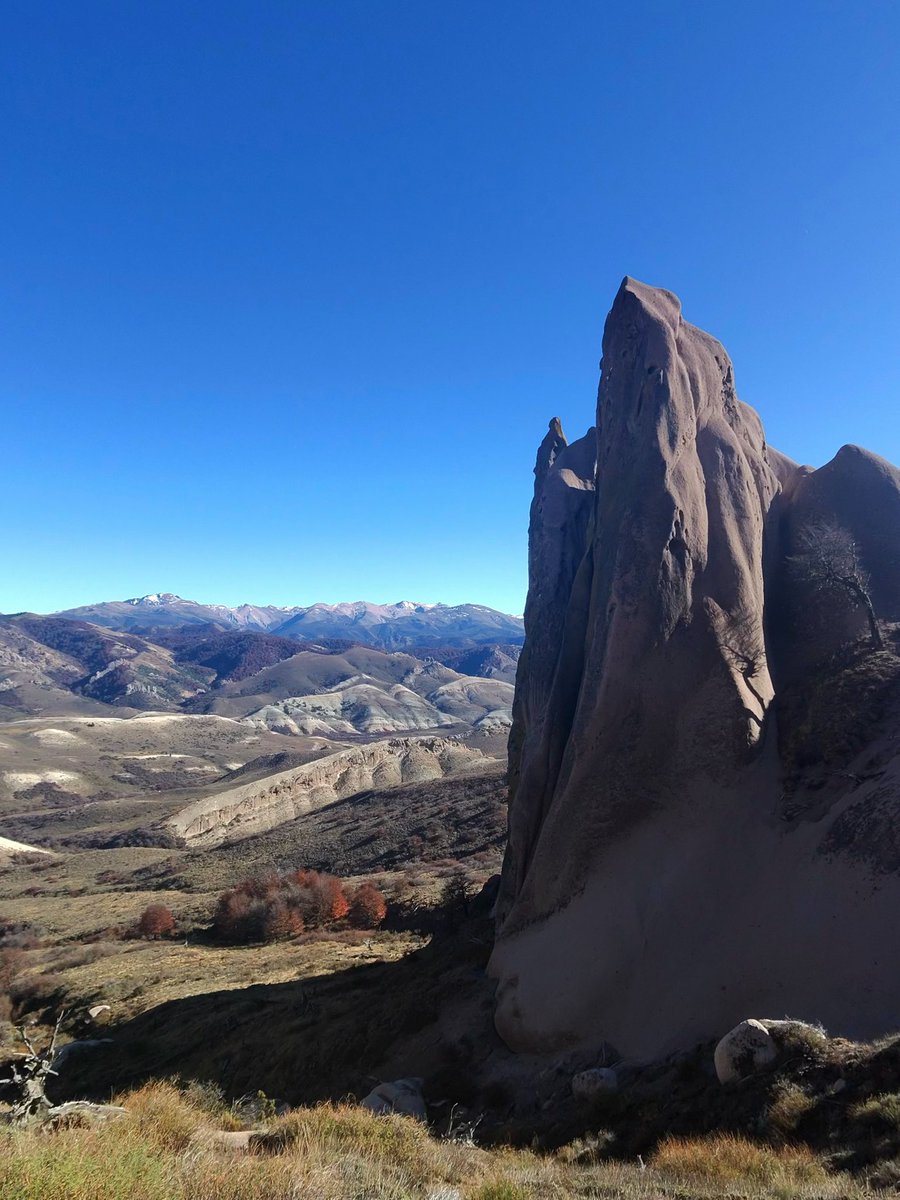 GracielaCamano's tweet photo. #LaBuitrera, hacia la zona de #Ñirihuau arriba, en transición e/ bosque andino y estepa #Bariloche
Te sorprende una geografía muy distinta: cañadones, coirones, paredones rocosos y formaciones moldeadas por siglos de viento. Ahí los cóndores y las águilas moras surcan los cielos otoñales.
Una transición geológica fascinante e/ la Cordillera Andina húmeda y la vieja Patagonia esteparia. Y ahí aparece algo clave: muchas de las montañas y paredones no son “jóvenes”, son el resultado de varias historias geológicas superpuestas.
Es una formación asociada al llamado
Complejo volcánico andino-patagónico
y particularmente a unidades vinculadas al
#GrupoNahuelHuapi #FormaciónVentana #FormaciónÑirihuau
Que contienen tobas volcánicas, cenizas consolidadas, areniscas, conglomerados y derrames volcánicos.
Cuando miras ese paisaje ves formaciones del Mioceno aprox e/23 y 5 millones de años.
Cuando estás parado ahí arriba, en realidad está viendo el choque entre dos Patagonias, geologicamente, una frontera; visualmente un paraíso secreto…