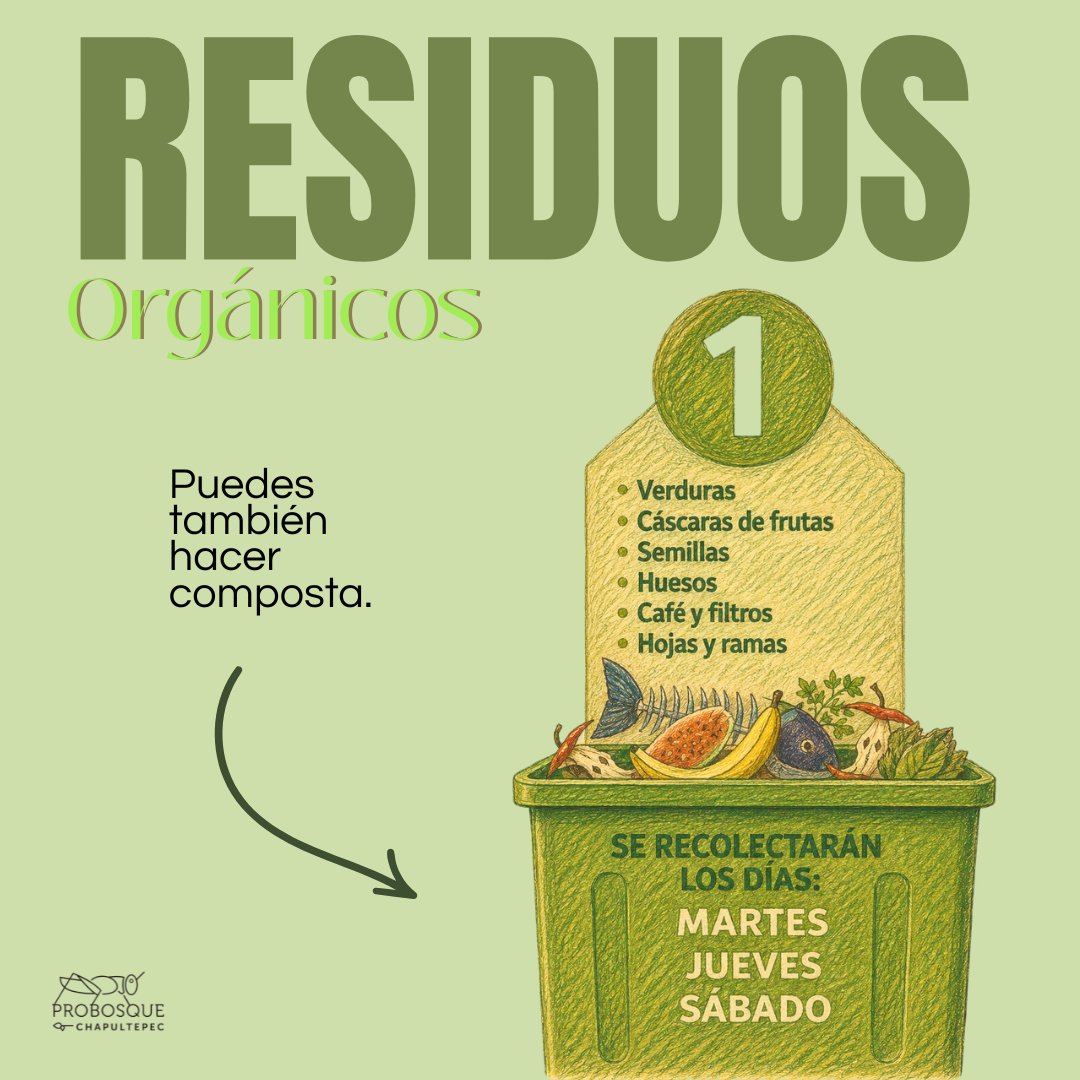 Pro Bosque Chapultepec tweet media