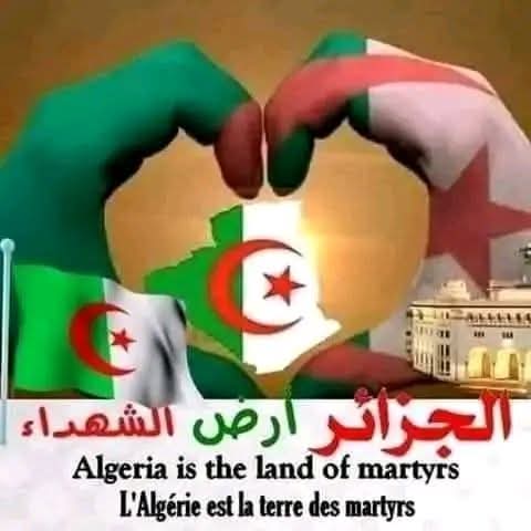 Bolbol Hassen 🇵🇸✌️🇩🇿 #أنا_مع_بلادي tweet media