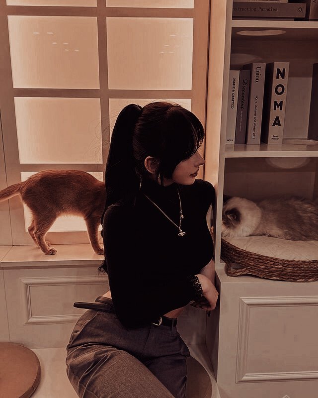 ᅟ 데이비스, 𝗻𝗮𝗼𝗺𝗶 . . alt tweet media