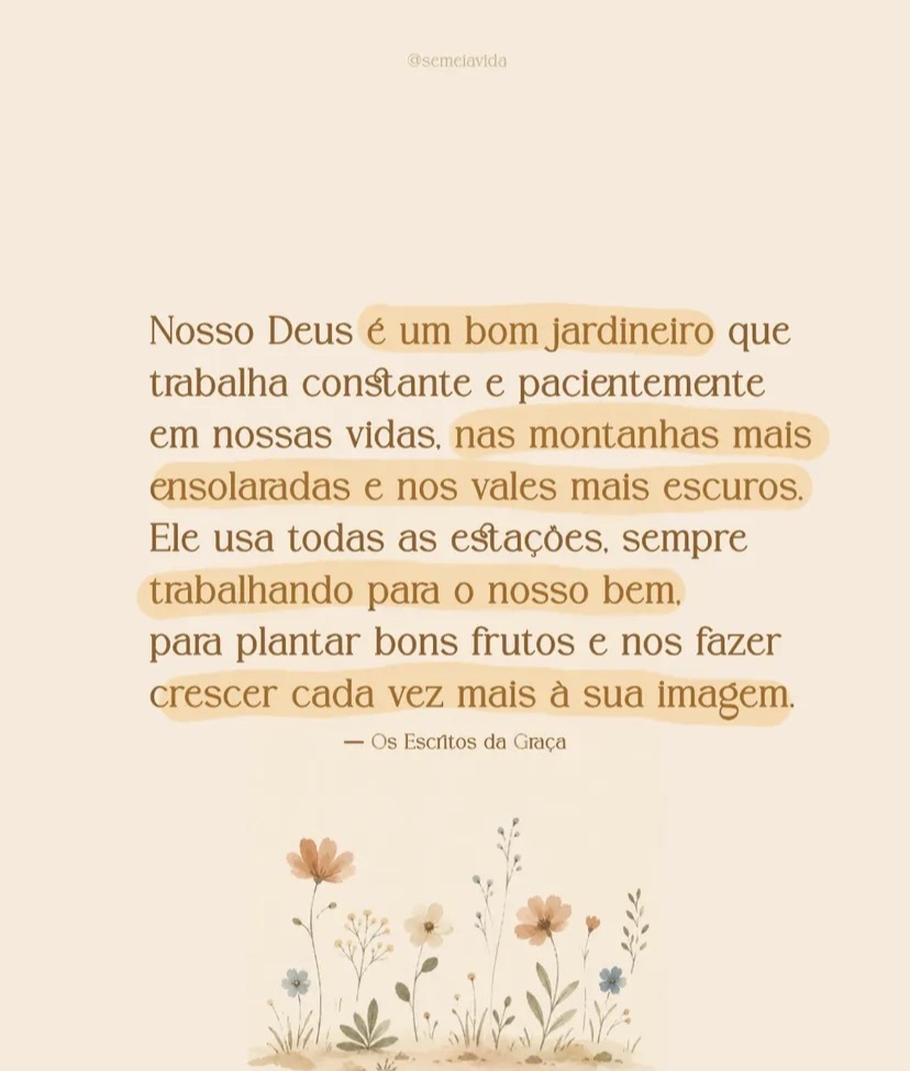 www.ravss.com.br tweet media