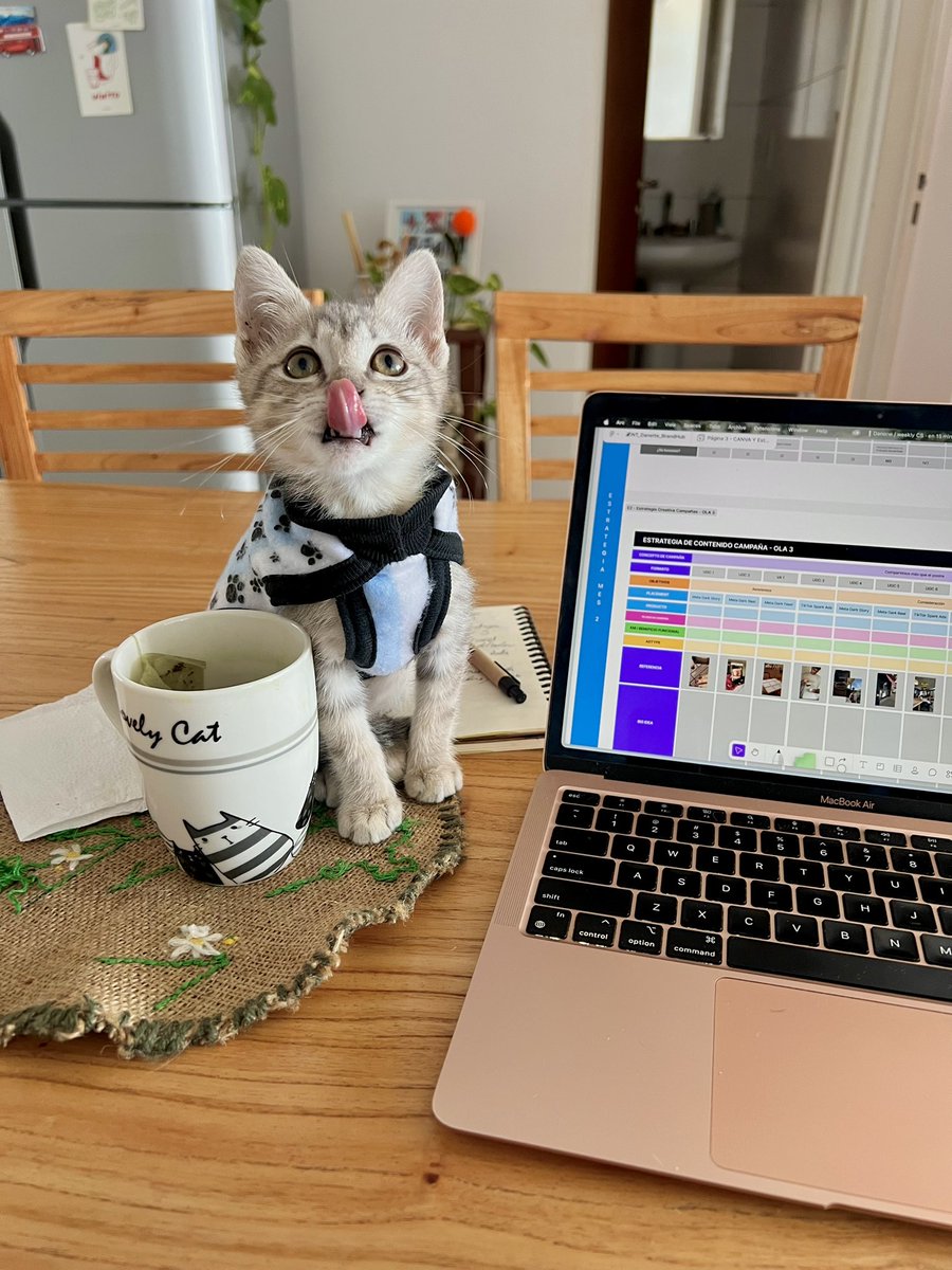 alanizcm's tweet photo. Lista para el mundial mi compañera de cowork https://t.co/1fYh4Z3F0z
