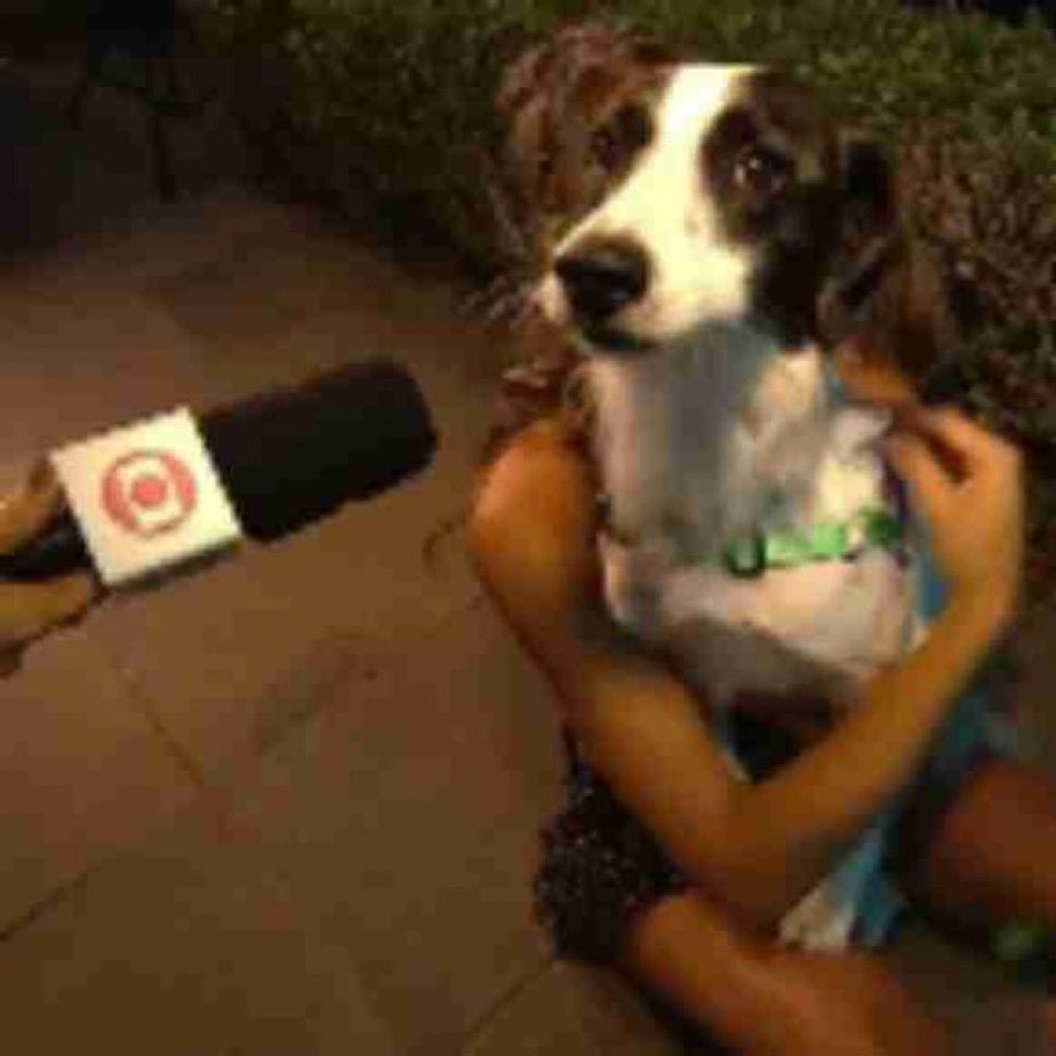 ᴅᴀᴠɪ tweet media