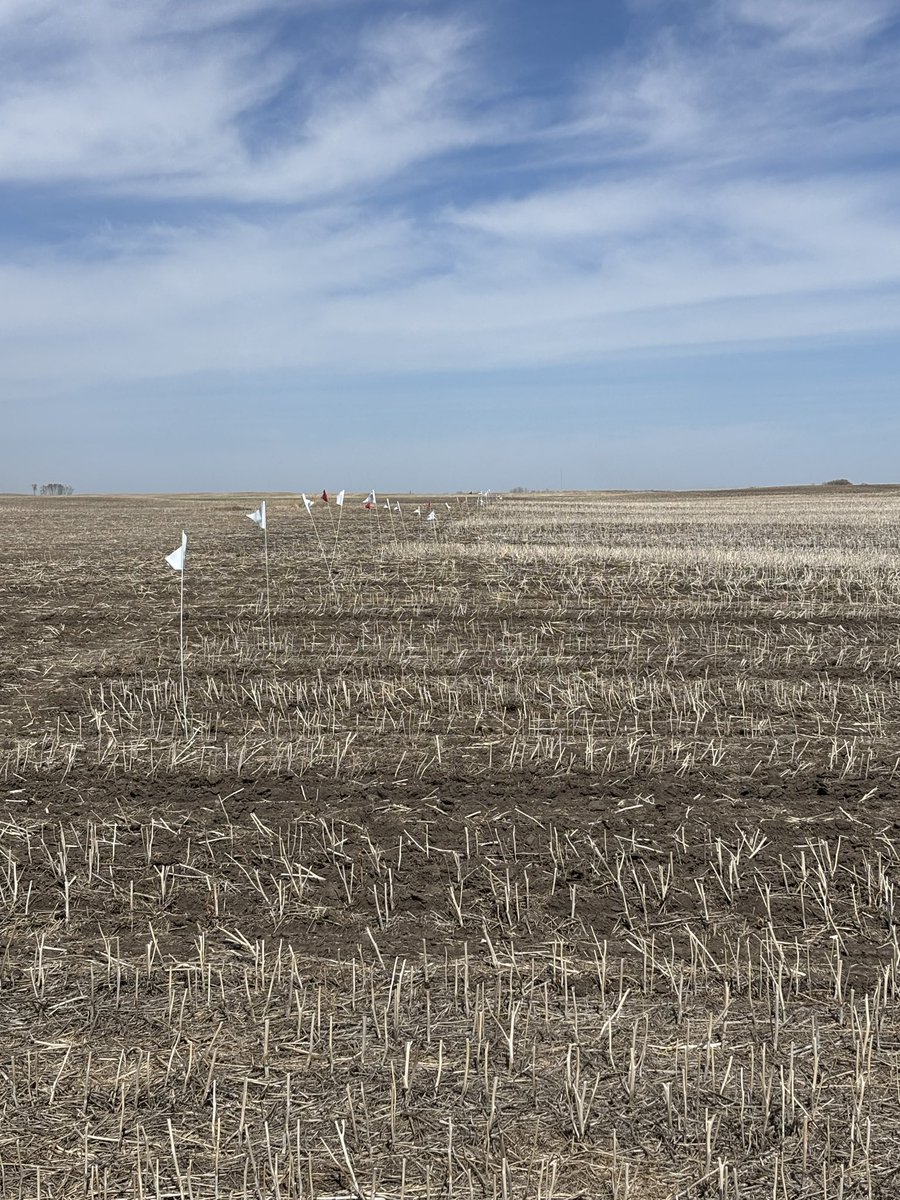 AlpineJimmie's tweet photo. First @alpinepfl research plot of the year complete @DarrylPerry20 @CaineSorenson https://t.co/FItLAvNjs9