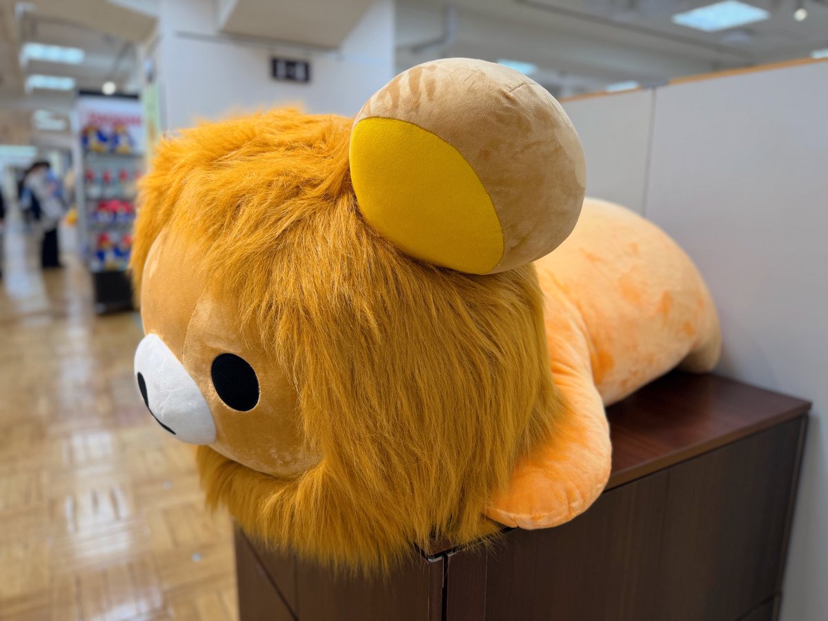 おはくまございます🐻 昨日はこぐまちゃんをお迎えできず傷心のまま