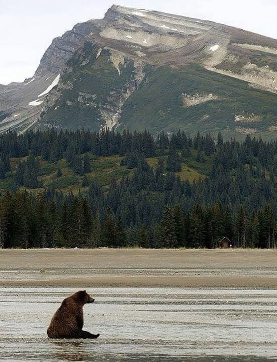 ArckMedia's tweet photo. I don’t want to vibe Code another AI B-B Sass I just want to catch salmon and stare at a mountain. https://t.co/4uQ87EgrXi