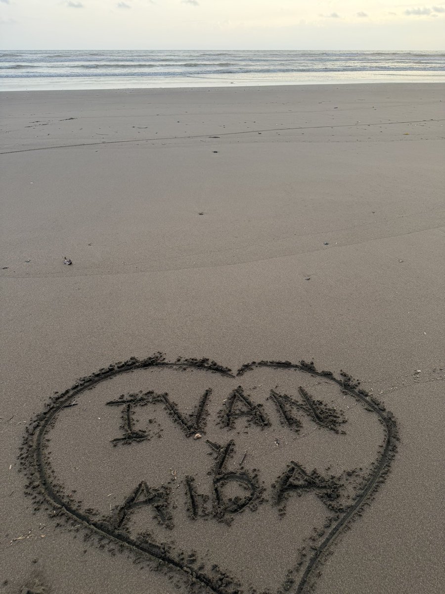 Alan David tweet media